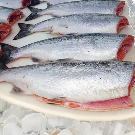 pacific silver salmon whole